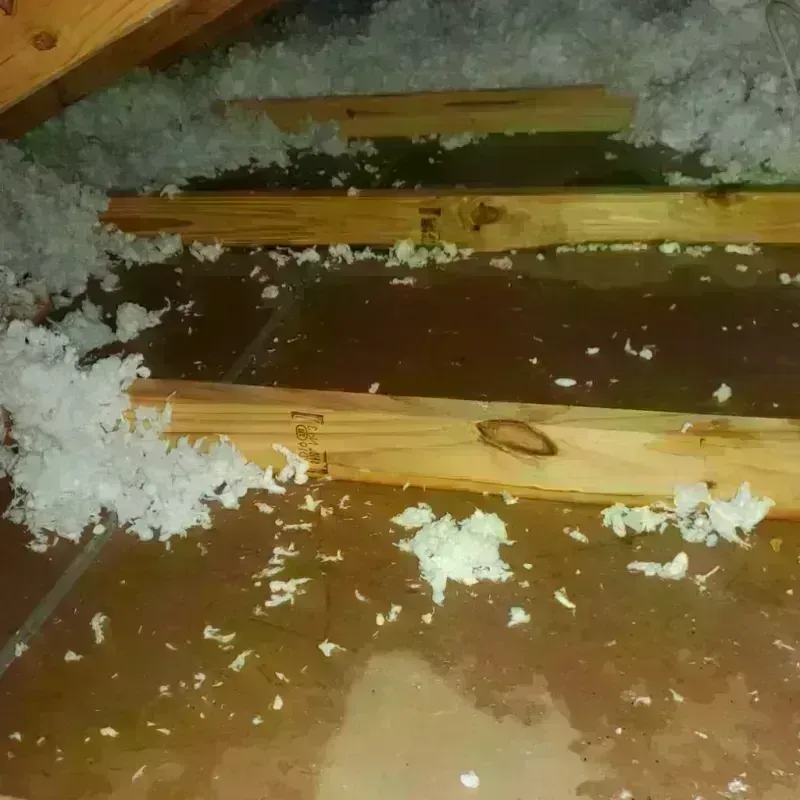 Attic Water Damage in Venice, IL