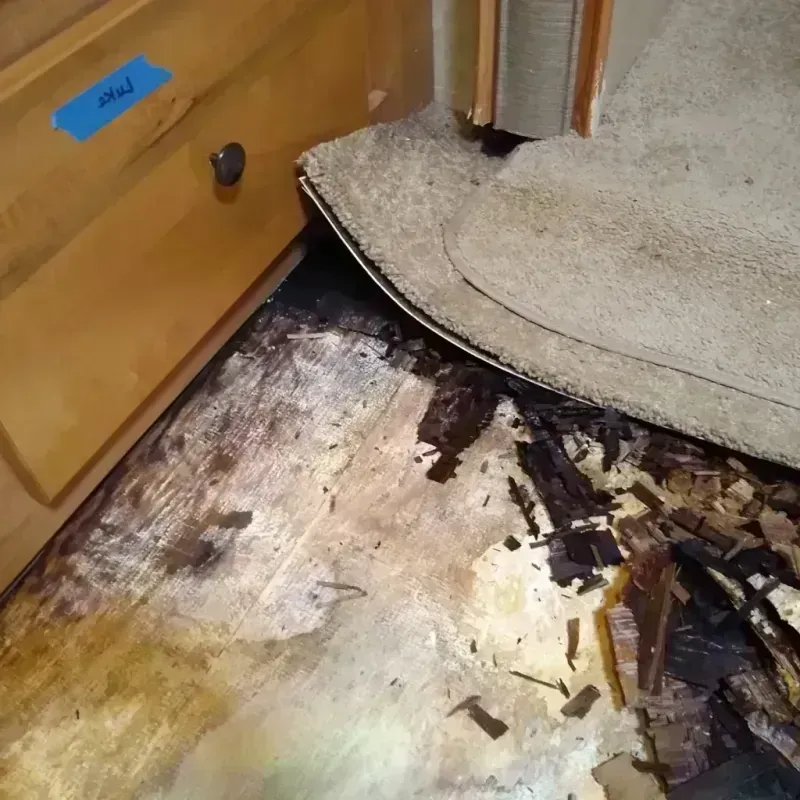 Wood Floor Water Damage in Venice, IL